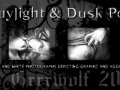 Twylight_Dusk_Portfolio_Teaser.jpg